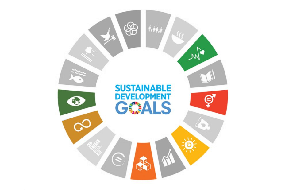 Sustainable Development Goals